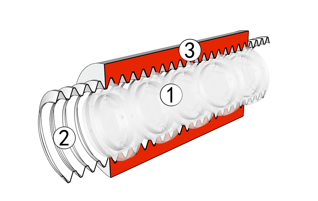  Muscle Bundle Structure